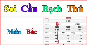 Tổng quát về dạng soi cầu bạch thủ
