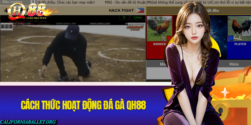 Cách thức hoạt động và tổ chức đá gà online tại QH88