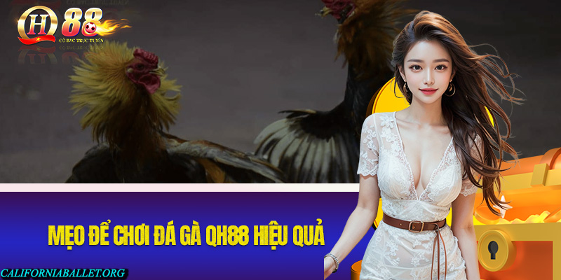 Một số mẹo để chơi đá gà hiệu quả cho anh em tại QH88